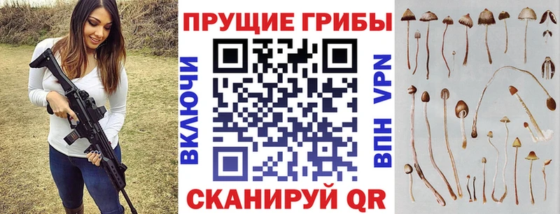 Галлюциногенные грибы мицелий  Сысерть 