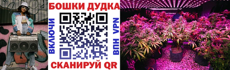 Бошки Шишки тримм блэк спрут вход Сысерть купить закладку